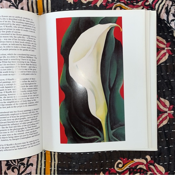 O'Keeffe Art Book by Britta Benke - Taschen ISBN 3836531887 - Picture 7 of 16